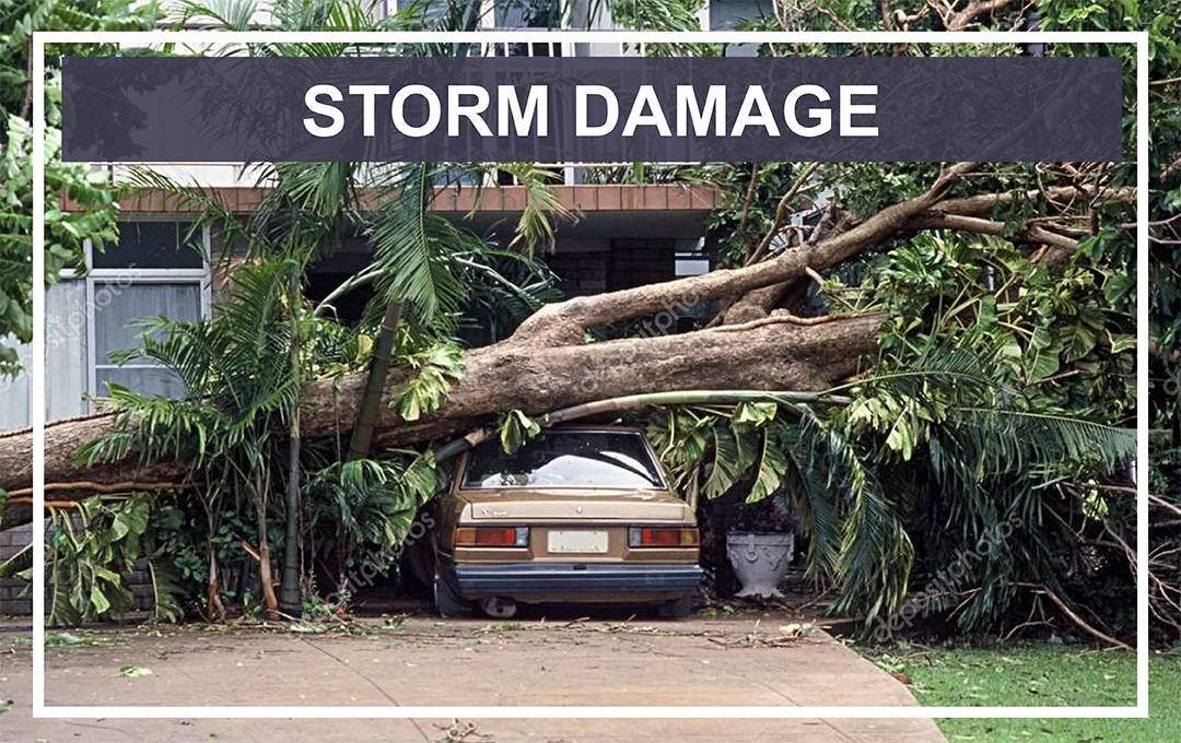 STORM DAMAGE COMPENSATION IRELAND visual data 3